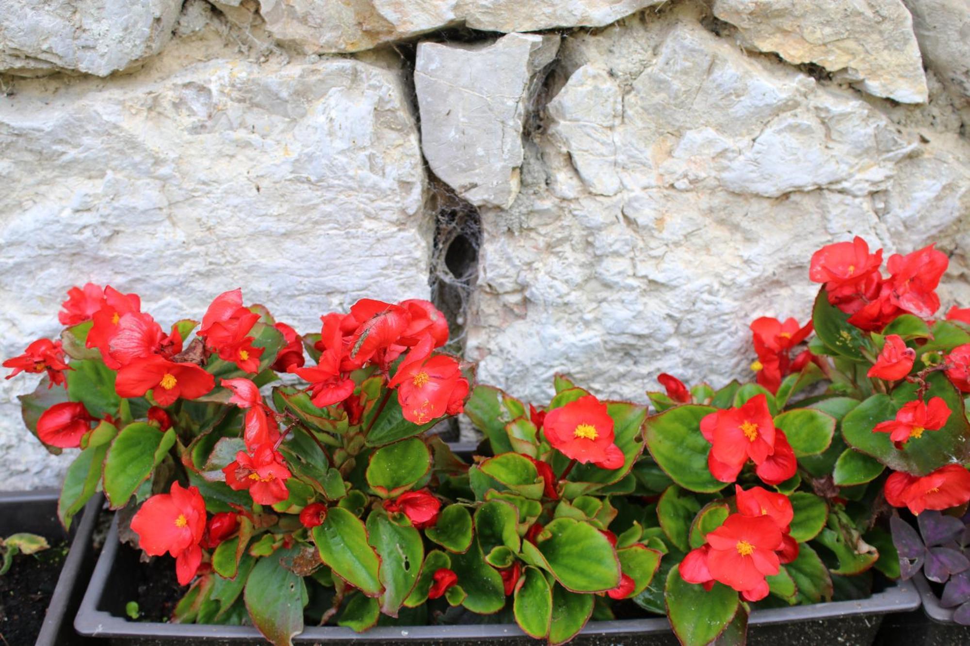 Maison d'hôtes Domacinstvo Na Kraju Svijeta à Sipovo Extérieur photo